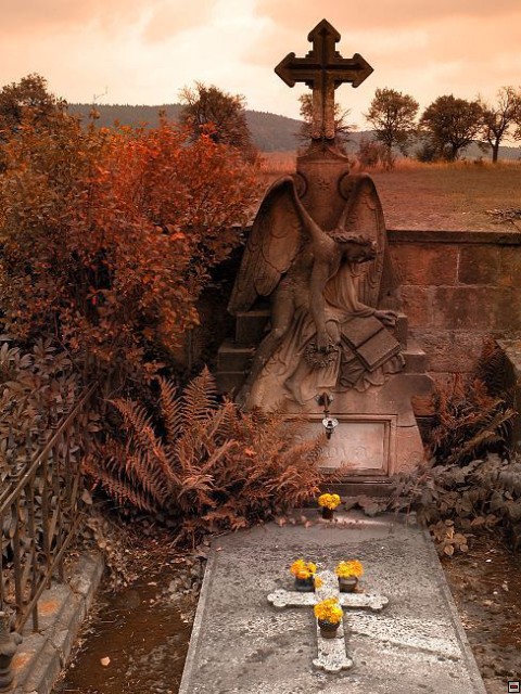 img00002.jpg