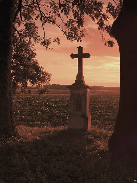 img00003.jpg