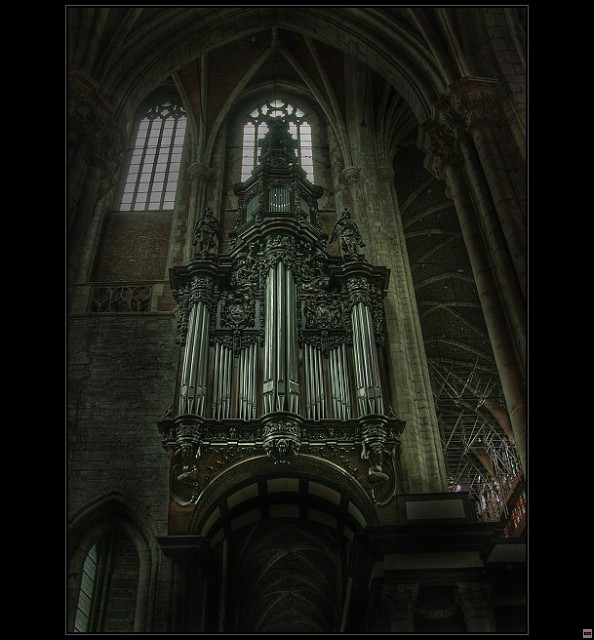 img00017.jpg